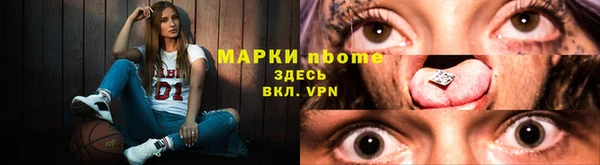 прущие грибы Надым