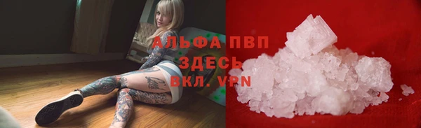 прущие грибы Михайловка