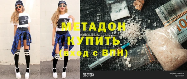 прущие грибы Надым