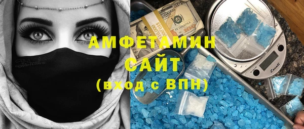 прущие грибы Надым