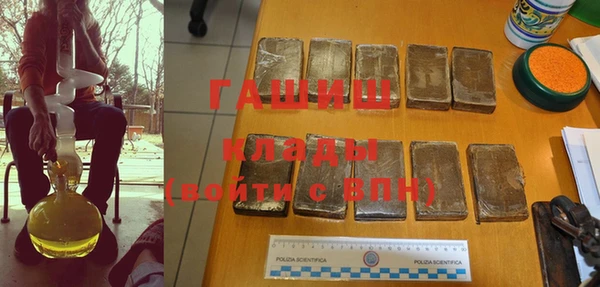 прущие грибы Михайловка