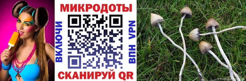 Галлюциногенные грибы Magic Shrooms  Партизанск 