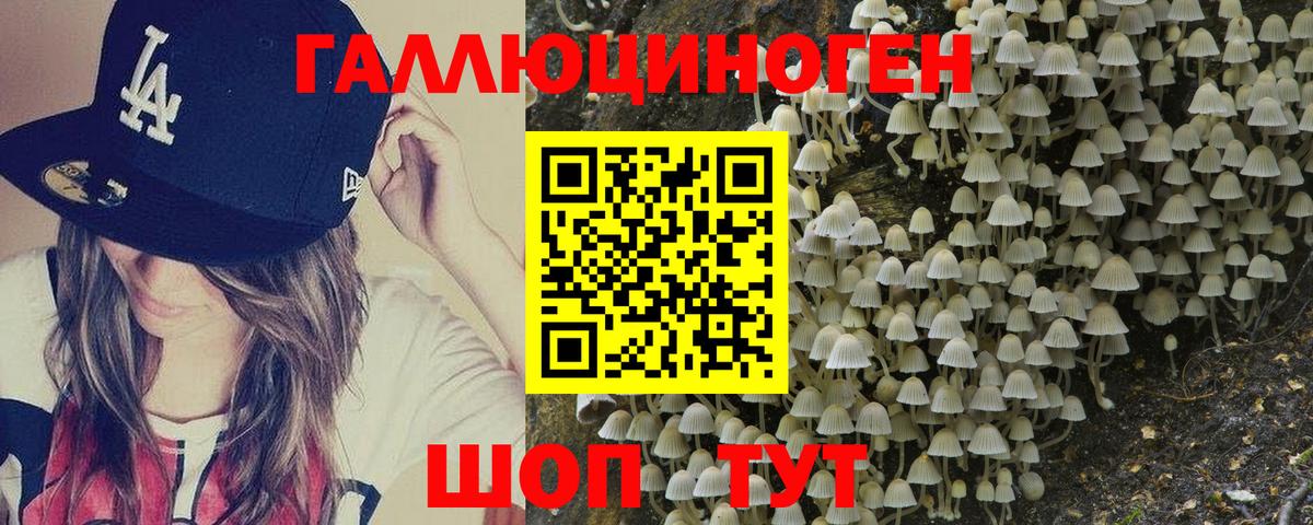Партизанск  Галлюциногенные грибы Cubensis  Вход с VPN 
